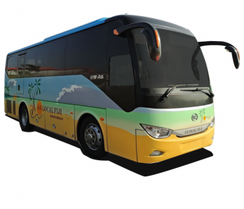 bus bus