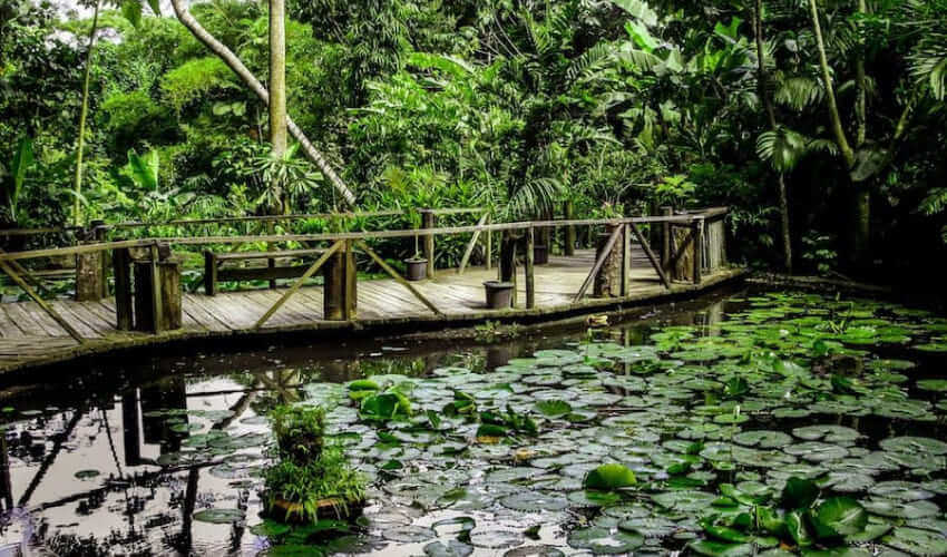 Top things to do in Nadi, Fiji 2