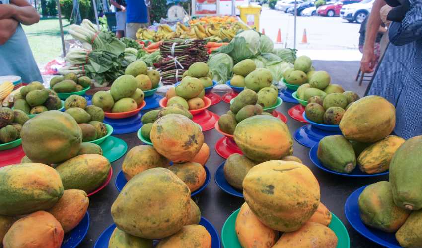 Nadi produce markets