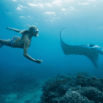 Top Fiji's Adventure Activities: From Surfing to Skydiving