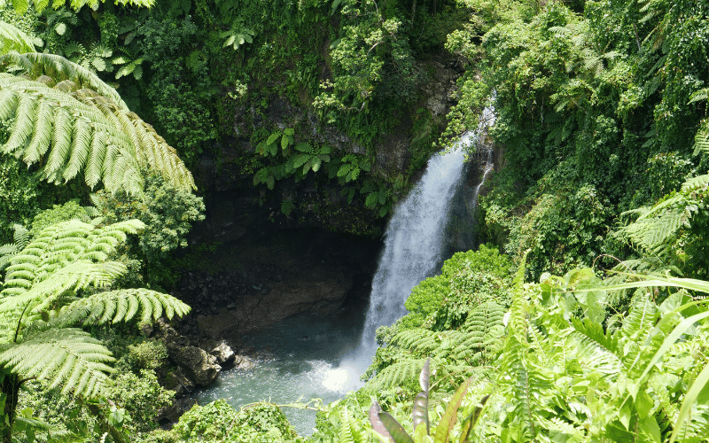 Waterfalls to Visit in Fiji